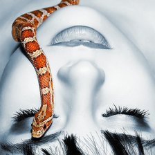 Схема вышивки «№194521»