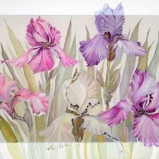 Схема вышивки «Ирисы»
