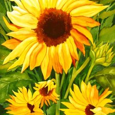 Схема вышивки «Подсолнух»