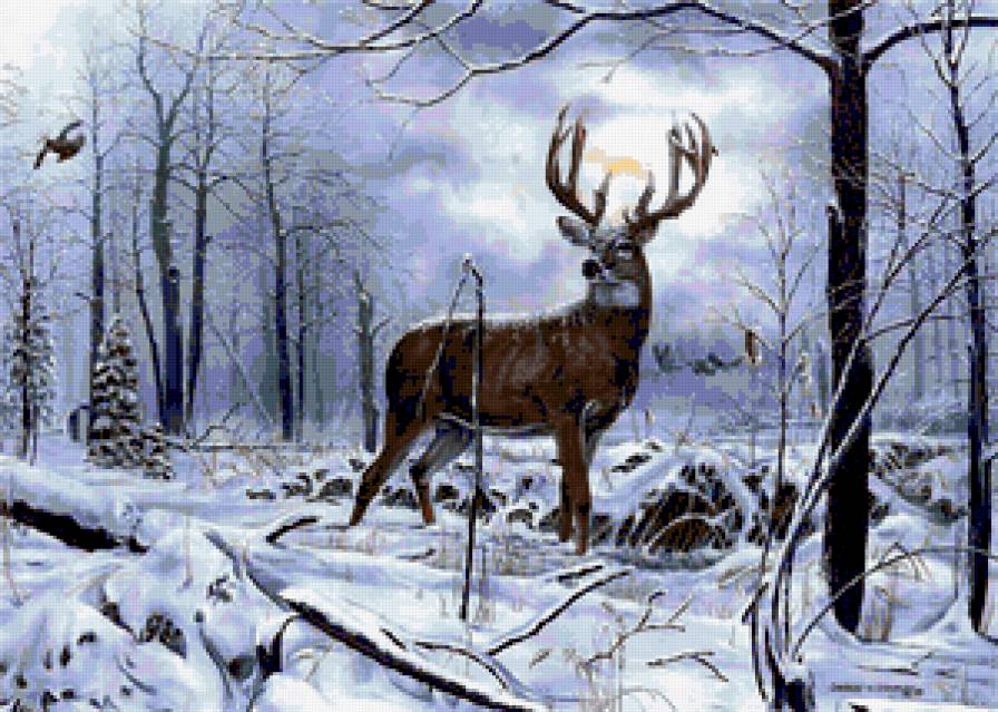 Лесной олень - олень, олени, звери, животные, олененок, осень, лес, снег - предпросмотр