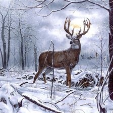 Лесной олень