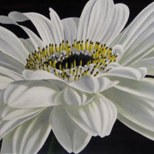 Схема вышивки «№194583»