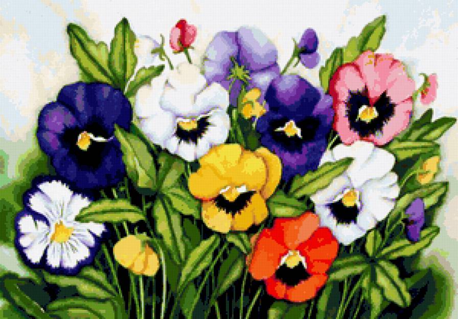 Анютины глазки - анютки, анютины глазки, фиалки, цветы, нежные лепестки, виола - предпросмотр