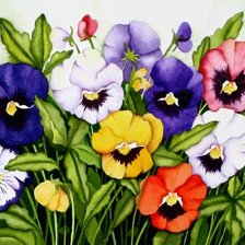 Схема вышивки «Анютины глазки»