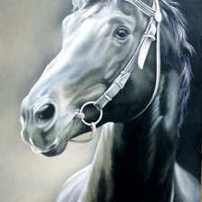 Схема вышивки «Конь»