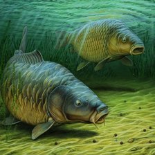 Схема вышивки «Карпы.»