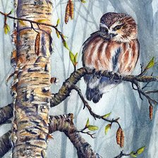 Схема вышивки «Сова»