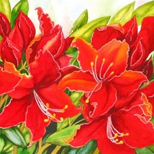 Схема вышивки «Лилии»