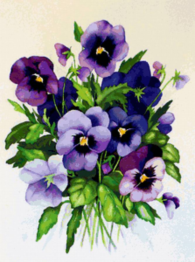 Анютины глазки - нежные лепестки, цветы, анютины глазки, виола, анютки - предпросмотр