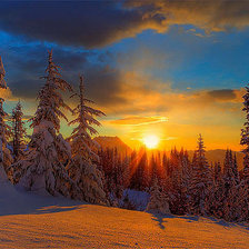 Схема вышивки «№194753»