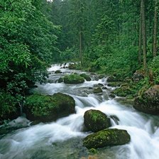 Схема вышивки «речушка»