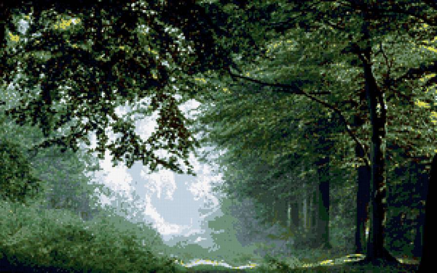 лес - пейзаж, лес, природа - предпросмотр