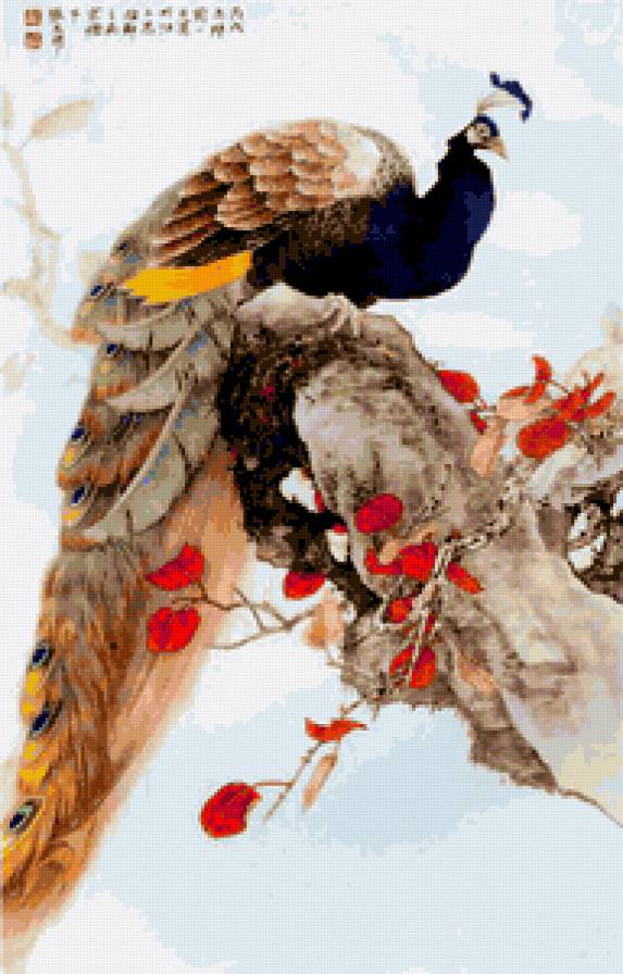 Павлин - павлин, птицы, пастель, китайская живопись - предпросмотр