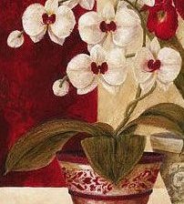 Схема вышивки «№195087»