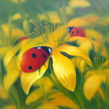 Схема вышивки «полевые цветы..»