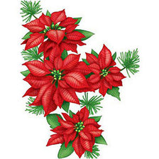 Схема вышивки «пуансетия»