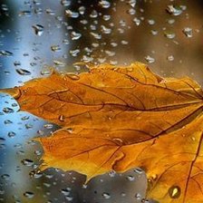 Схема вышивки «№195279»