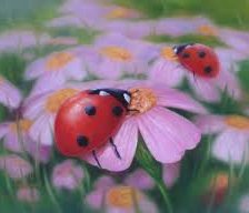 Схема вышивки «цветы»