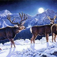 Схема вышивки «олени»