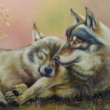 Схема вышивки «пара»