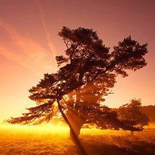 Схема вышивки «Трепетный закат»