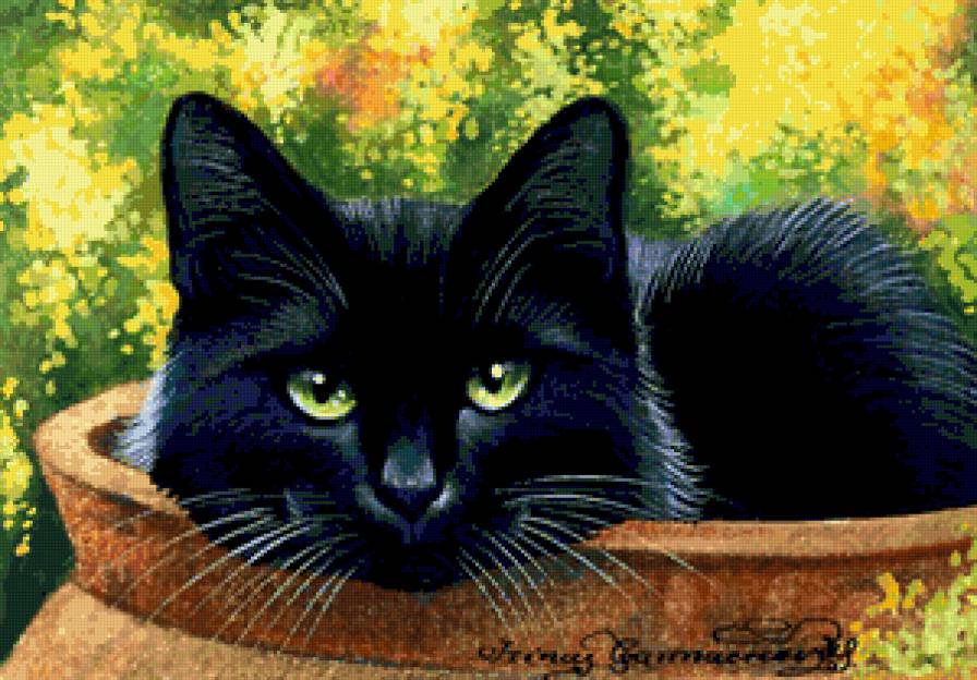 консервированный - кошка - предпросмотр