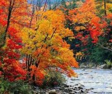 Схема вышивки «осень»