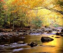 Схема вышивки «осень»