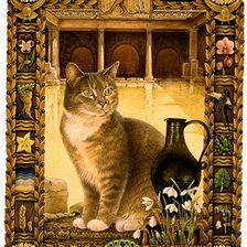 кот-водолей