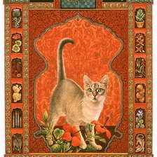 кот-скорпион