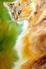 Схема вышивки «красавица»