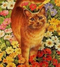 Схема вышивки «кот»