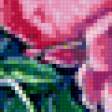 Предпросмотр схемы вышивки «цветы» (№196151)
