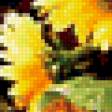 Предпросмотр схемы вышивки «подсолнухи» (№196153)