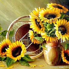 подсолнухи