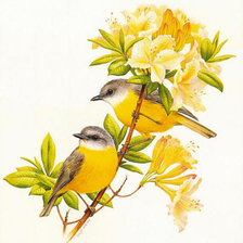 Схема вышивки «Серия "Птицы"»