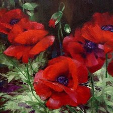 Схема вышивки «маки»