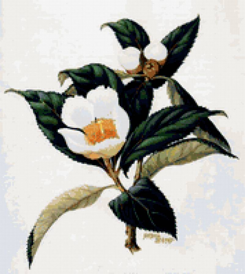 Картина-цветы - живопись, цветы, натюрморт - предпросмотр