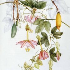 Схема вышивки «Картина-цветы 2»