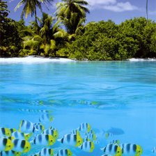 Схема вышивки «№196267»