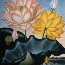 Схема вышивки «Картина-цветы 5»