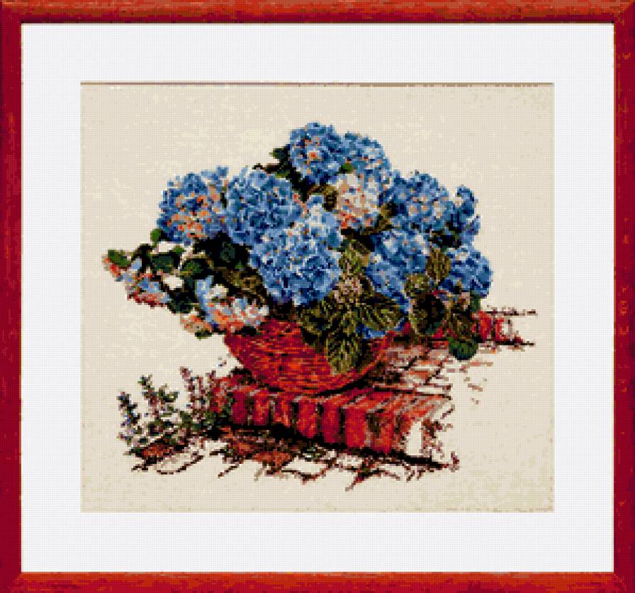 Гортензия - цветы, гортензия, картина, голубые цветы - предпросмотр