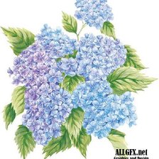 Схема вышивки «Гортензия»