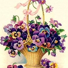 Корзина анюток