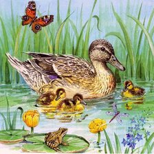 Схема вышивки «Утиная семья»
