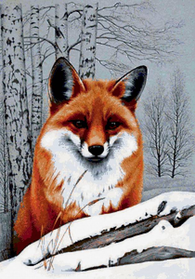 Лисичка - zhivotnie - предпросмотр