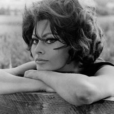 Схема вышивки «Софи Лорен»