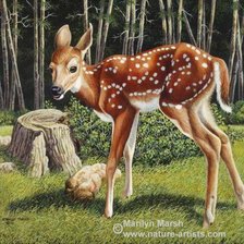 Схема вышивки «Оленёнок»