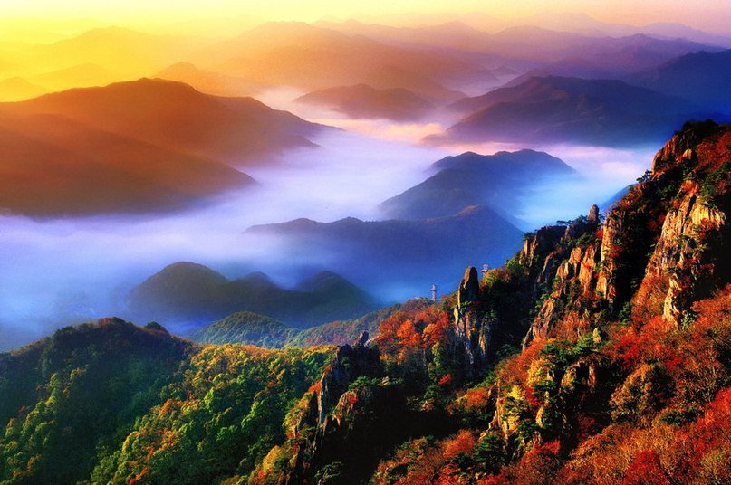 №196678 - оригинал