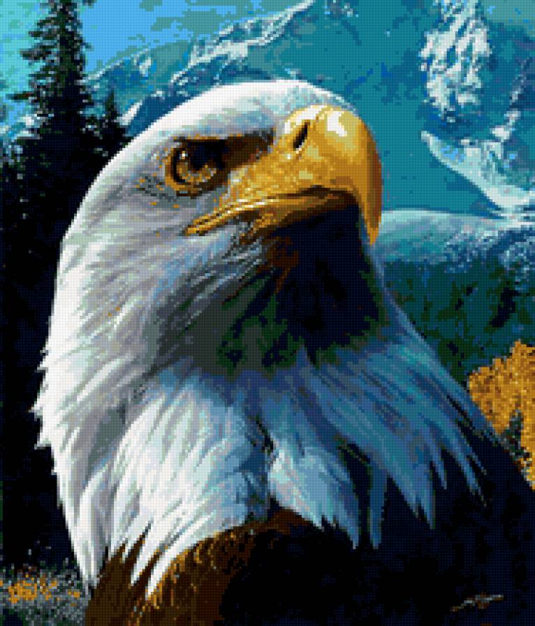 Горный орел - предпросмотр